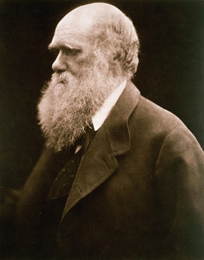 Charles Darwin, ca. 1870 door Julia Margaret Cameron